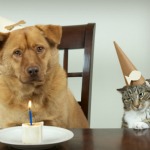 Free Birthday Meals - List of Restaurants